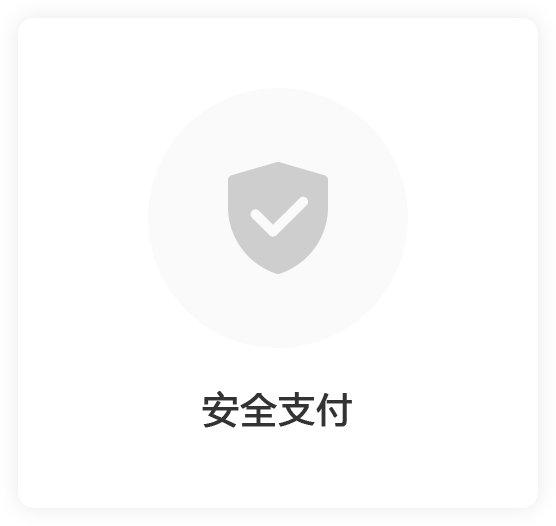 安全支付